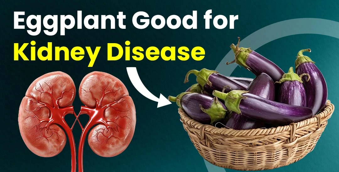 Is Eggplant Good for Kidney Disease?